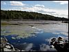 Adamant Pond - Adamant, Vermont