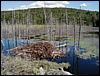 Adamant Pond - Adamant, Vermont