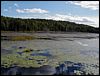 Adamant Pond - Adamant, Vermont