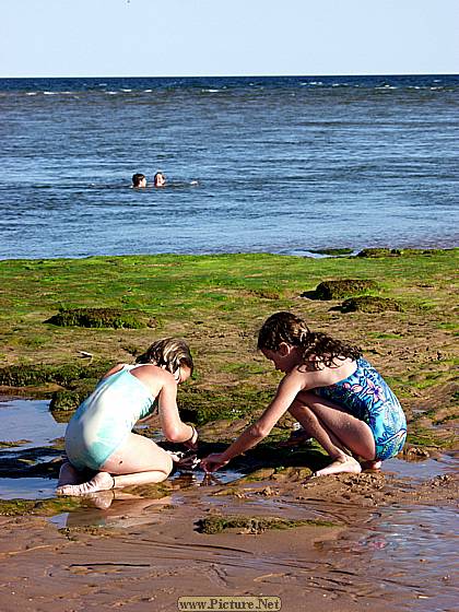 Eastern Kings County
East Point & North Lake, PEI
Prince Edward Island, Canada
August, 2005 - photo by Steve Gallagher