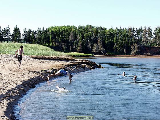 Eastern Kings County
East Point & North Lake, PEI
Prince Edward Island, Canada
August, 2005 - photo by Steve Gallagher