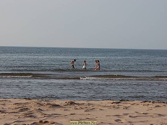 Eastern Kings County
East Point & North Lake, PEI
Prince Edward Island, Canada
August, 2005 - photo by Steve Gallagher