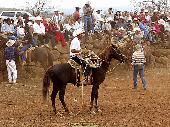 DesMontes, Michoacan
Mexico 2004