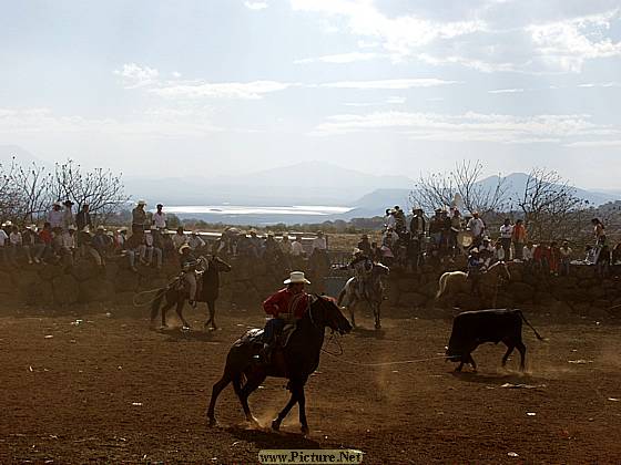 DesMontes, Michoacan
Mexico 2004