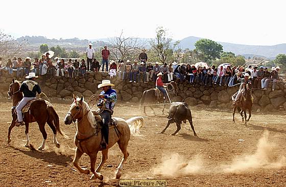 DesMontes, Michoacan
Mexico 2004