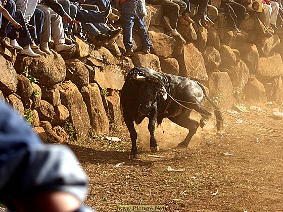 DesMontes, Michoacan
Mexico 2004