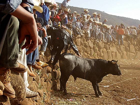 DesMontes, Michoacan
Mexico 2004