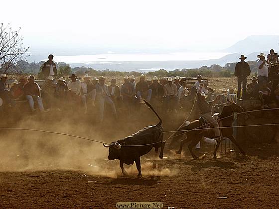 DesMontes, Michoacan
Mexico 2004