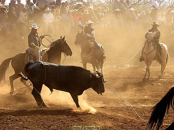 DesMontes, Michoacan
Mexico 2004