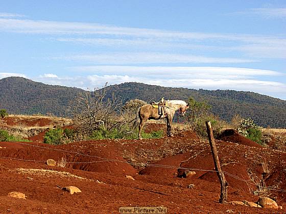 DesMontes, Michoacan
Mexico 2004