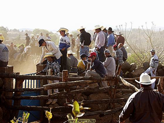 DesMontes, Michoacan
Mexico 2004