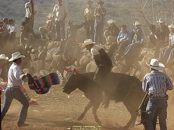 DesMontes, Michoacan
Mexico 2004