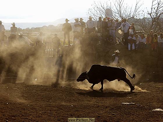 DesMontes, Michoacan
Mexico 2004