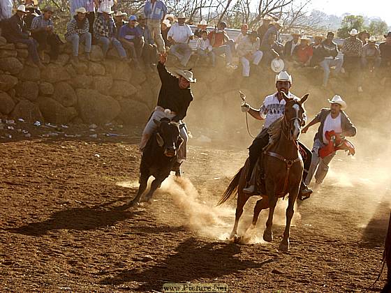 DesMontes, Michoacan
Mexico 2004