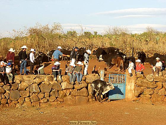 DesMontes, Michoacan
Mexico 2004