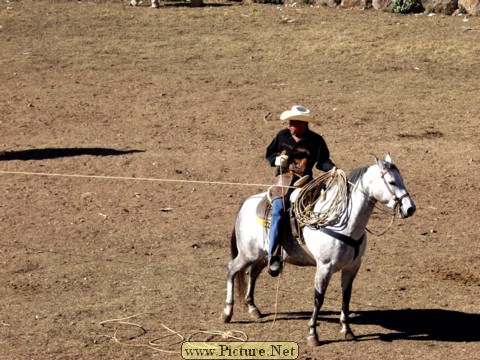 La Luz Rodeo
La Luz, Michoacan, Mexico
January, 2004