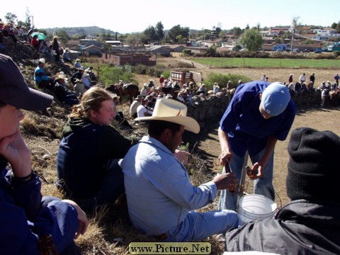 La Luz Rodeo
La Luz, Michoacan, Mexico
January, 2004