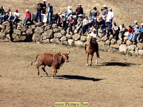 La Luz Rodeo
La Luz, Michoacan, Mexico
January, 2004