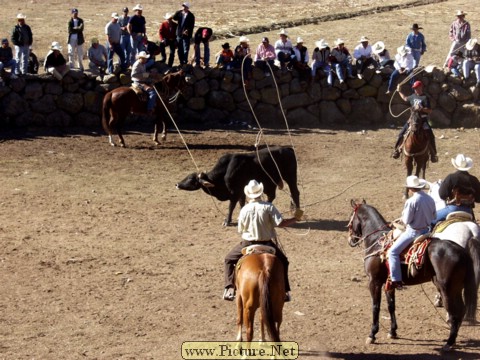 La Luz Rodeo
La Luz, Michoacan, Mexico
January, 2004