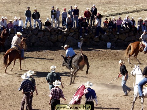 La Luz Rodeo
La Luz, Michoacan, Mexico
January, 2004