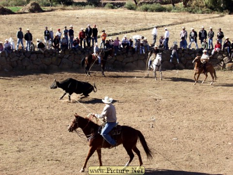 La Luz Rodeo
La Luz, Michoacan, Mexico
January, 2004