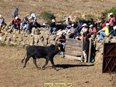 La Luz Rodeo
La Luz, Michoacan, Mexico
January, 2004