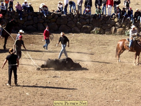 La Luz Rodeo
La Luz, Michoacan, Mexico
January, 2004