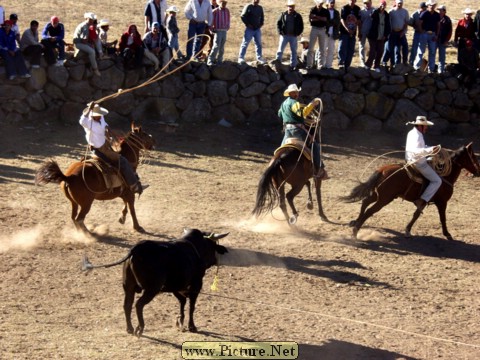 La Luz Rodeo
La Luz, Michoacan, Mexico
January, 2004