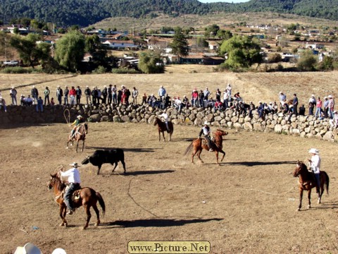 La Luz Rodeo
La Luz, Michoacan, Mexico
January, 2004