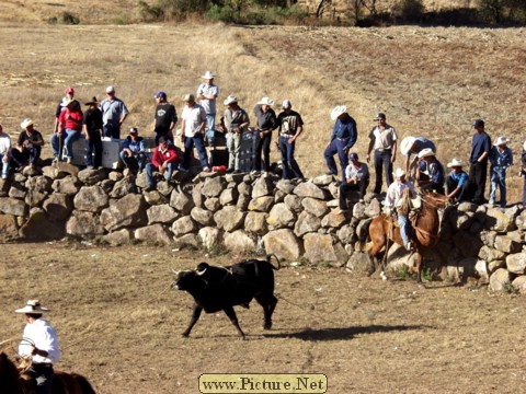 La Luz Rodeo
La Luz, Michoacan, Mexico
January, 2004