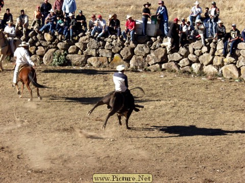 La Luz Rodeo
La Luz, Michoacan, Mexico
January, 2004