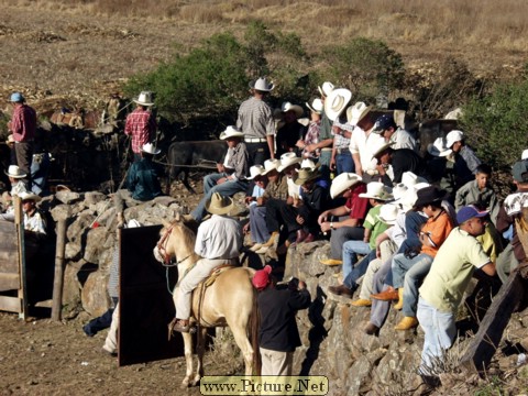 La Luz Rodeo
La Luz, Michoacan, Mexico
January, 2004