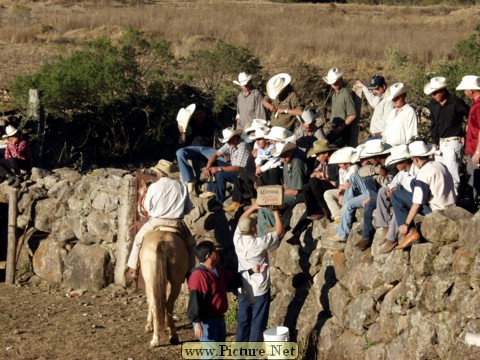 La Luz Rodeo
La Luz, Michoacan, Mexico
January, 2004