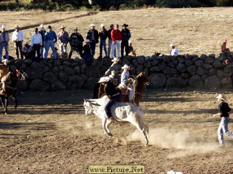 La Luz Rodeo
La Luz, Michoacan, Mexico
January, 2004