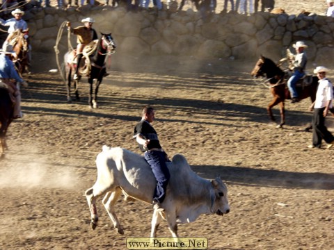 La Luz Rodeo
La Luz, Michoacan, Mexico
January, 2004