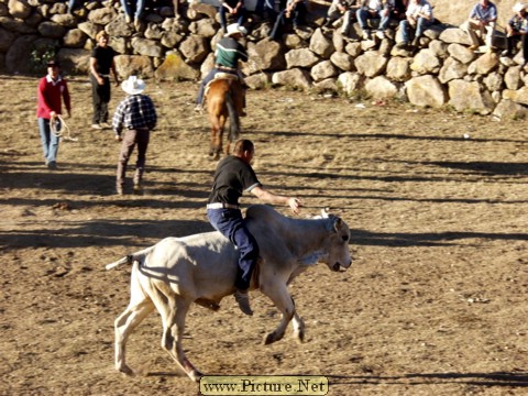 La Luz Rodeo
La Luz, Michoacan, Mexico
January, 2004