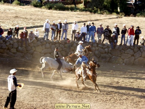 La Luz Rodeo
La Luz, Michoacan, Mexico
January, 2004