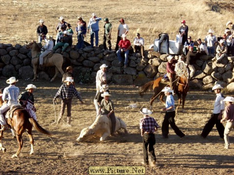 La Luz Rodeo
La Luz, Michoacan, Mexico
January, 2004