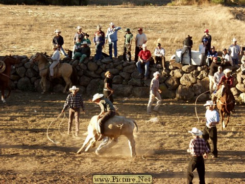 La Luz Rodeo
La Luz, Michoacan, Mexico
January, 2004