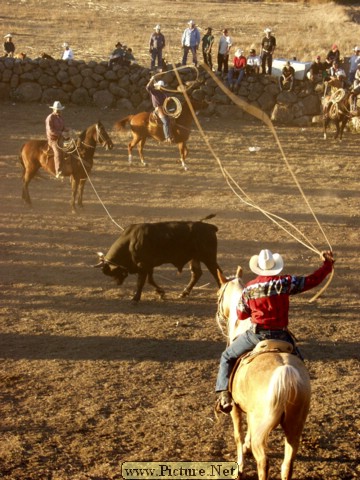 La Luz Rodeo
La Luz, Michoacan, Mexico
January, 2004