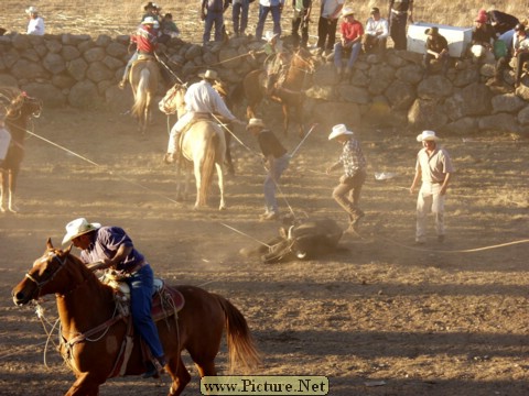 La Luz Rodeo
La Luz, Michoacan, Mexico
January, 2004