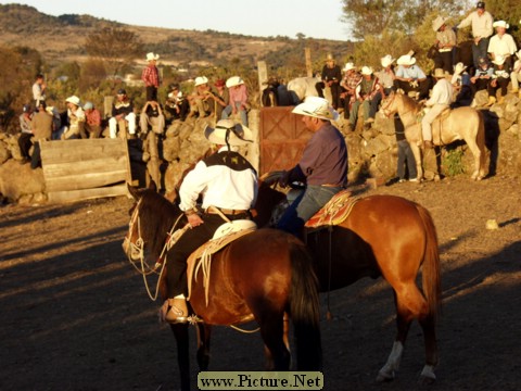 La Luz Rodeo
La Luz, Michoacan, Mexico
January, 2004