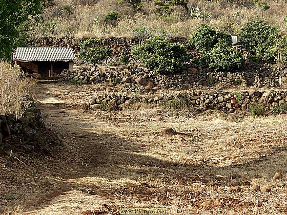 Villa Morelos,
Michoacan, Mexico
2004