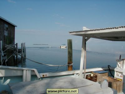 on Conch Key, Florida