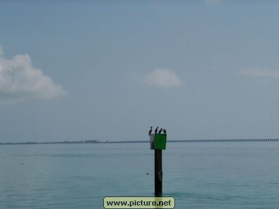 near Conch Key, Florida