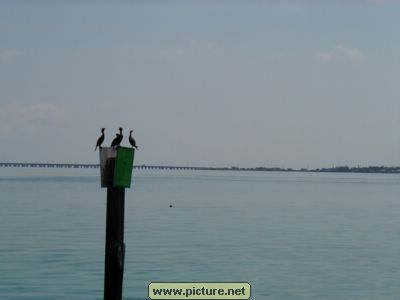 near Conch Key, Florida