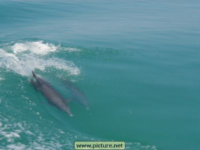 near Conch Key, Florida