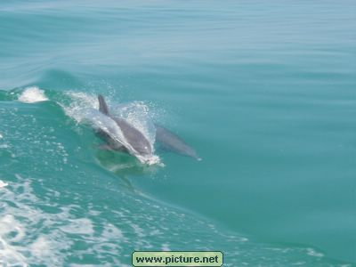 near Conch Key, Florida