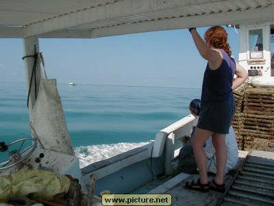 near Conch Key, Florida