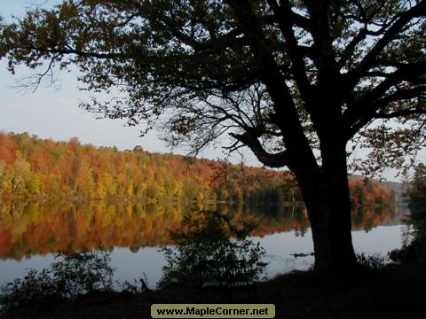 Oct. 2001, at the Curtis Pond swimming area